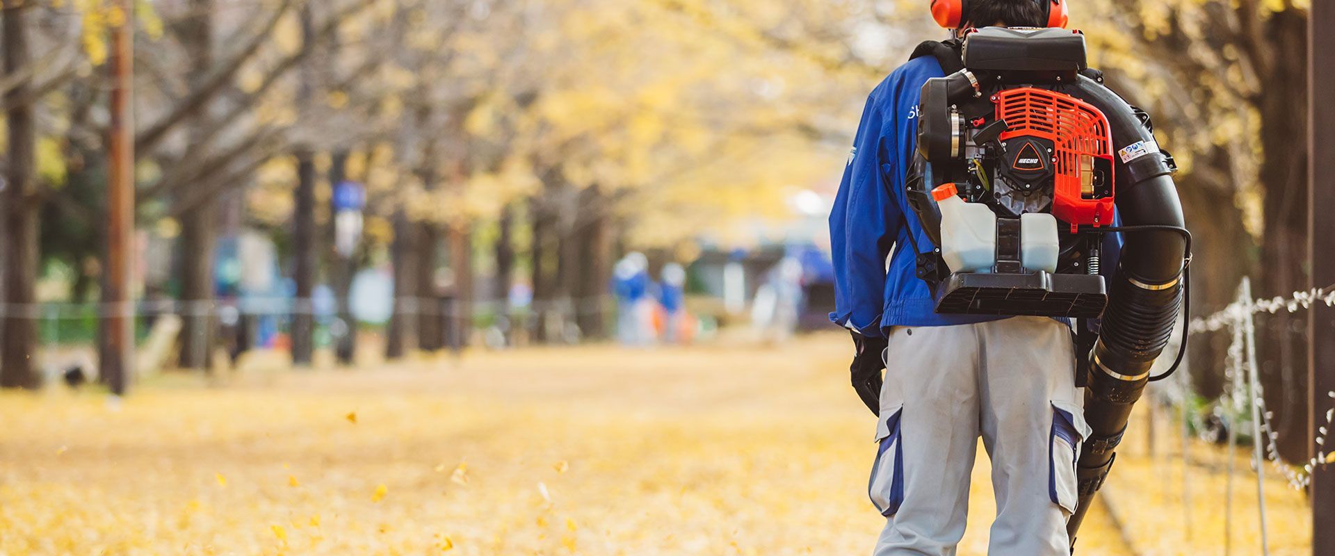 Backpack Blowers