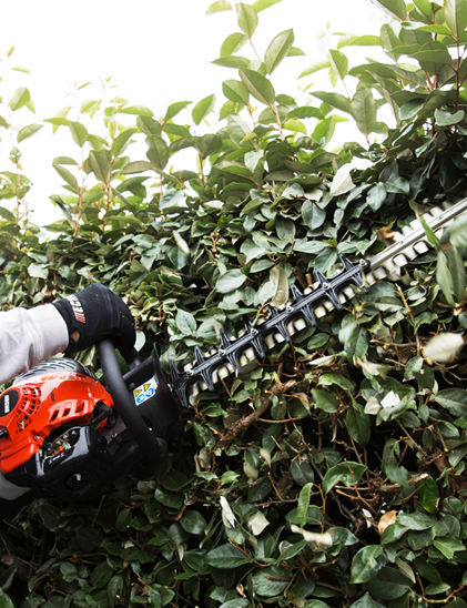 Double-sided Hedge Trimmers