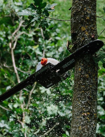 Telescopic Power Pruners